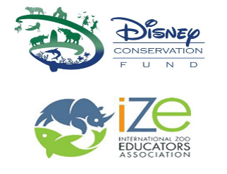 disney ize