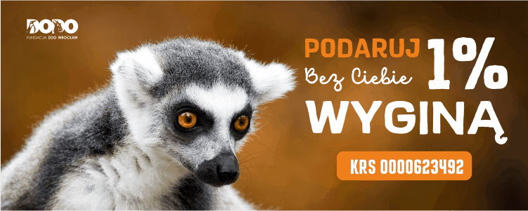 Podaruj 1,5% - lemury