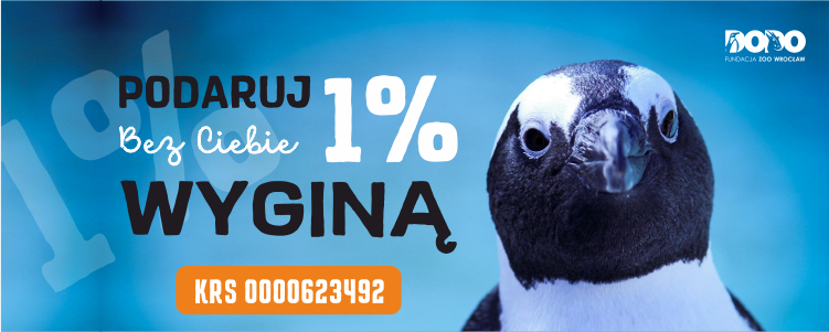 Podaruj 1% pingwiny przylądkowe