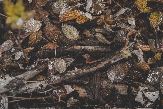 dekoracyjny