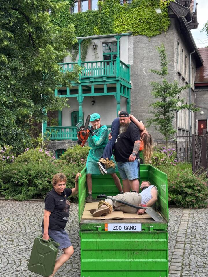 nie dokarmiaj dokarmianie gang zoo