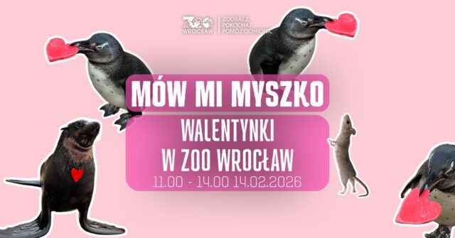 mów mi myszko walentynki